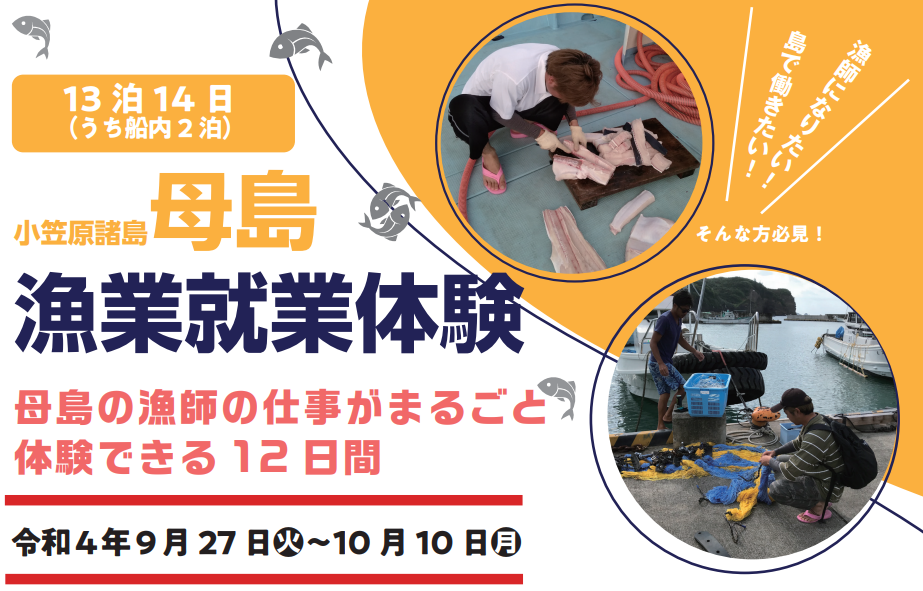 R4就業体験母島漁業バナー