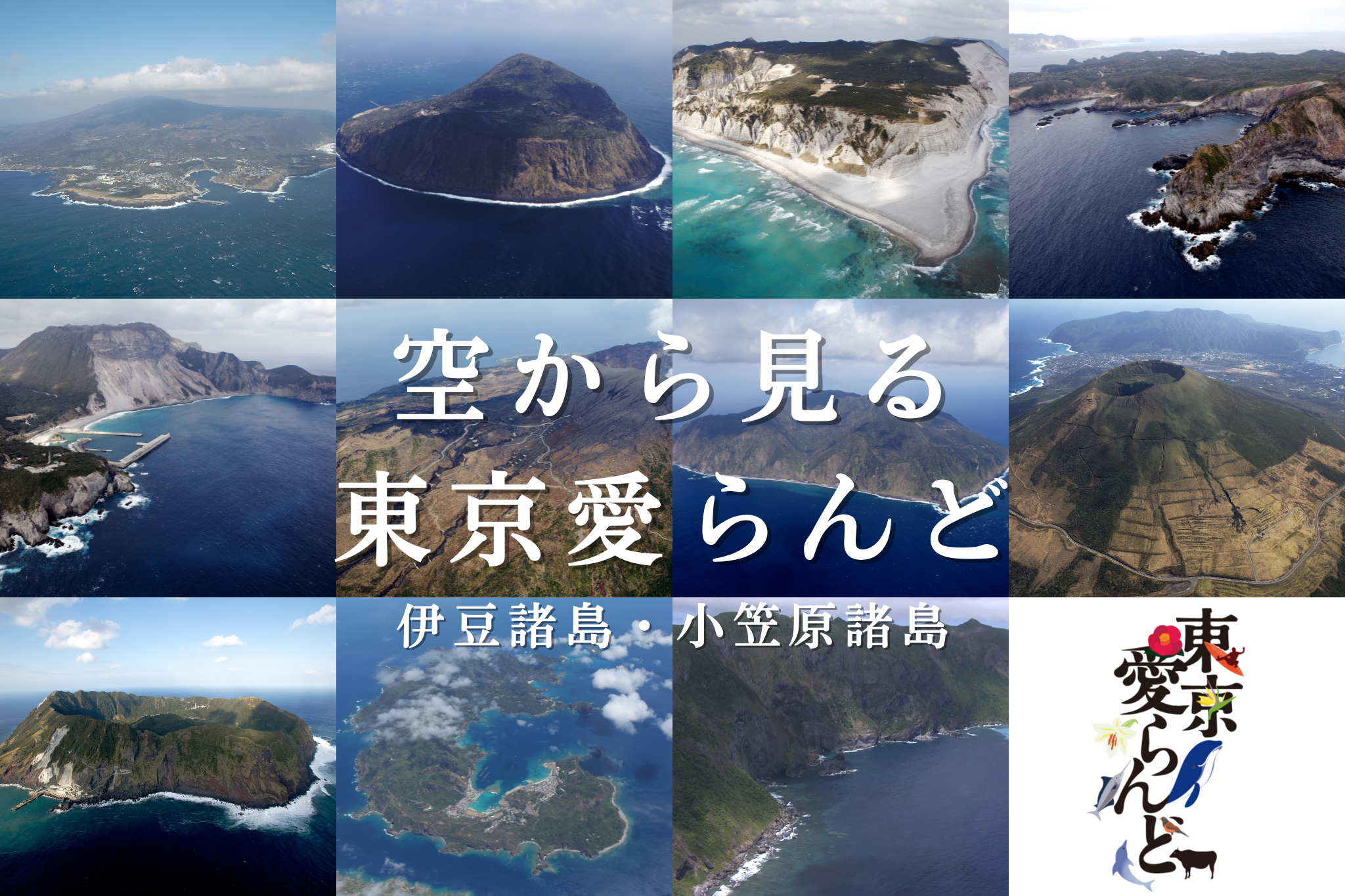 空から見る東京愛らんど（空撮映像）を公開しました | お知らせ | 伊豆 